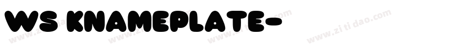 WS KnamePlate字体转换